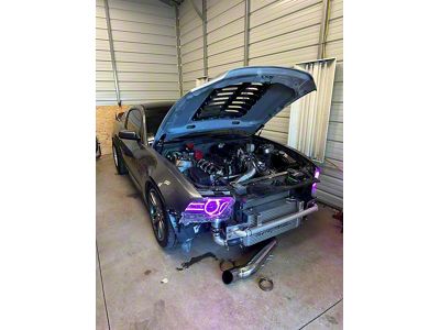 Striker Lights RGBW Small Single Halo Headlights; Matte Black Housing; Clear Lens (13-14 Mustang)