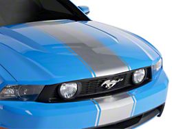 SEC10 Super Snake Style Stripes; Silver (79-23 Mustang)