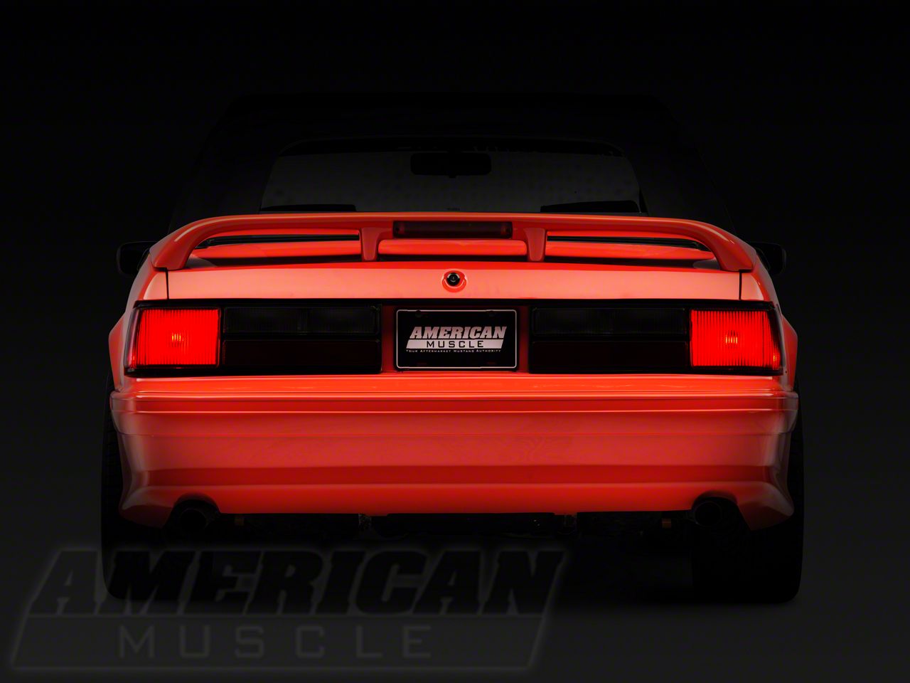 Tailgate Panel, Tail Light Lens & Housing | TRA9232