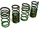 Tein S.Tech Lowering Springs (94-04 Mustang GT Coupe, V6 Coupe)