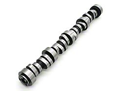 Texas Speed & Performance Chopacabra 6.2L LS Rectangular Port 216/230 Hydraulic Roller Camshaft (98-02 5.7L Camaro; 10-15 V8 Camaro)