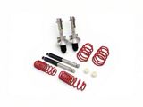 Touring Tech Performance Series Lowering Springs with Shocks and Struts (05-14 Mustang)