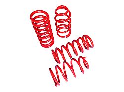 Touring Tech Performance Series Lowering Springs (15-25 Mustang w/o MagneRide)