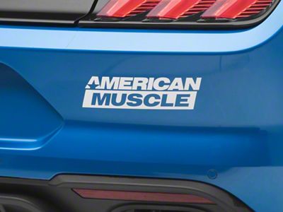 AM Vinyl Decal