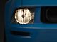 Raxiom Axial Series Ultra Modern Headlights; Clear Reflector (05-09 Mustang GT, V6)