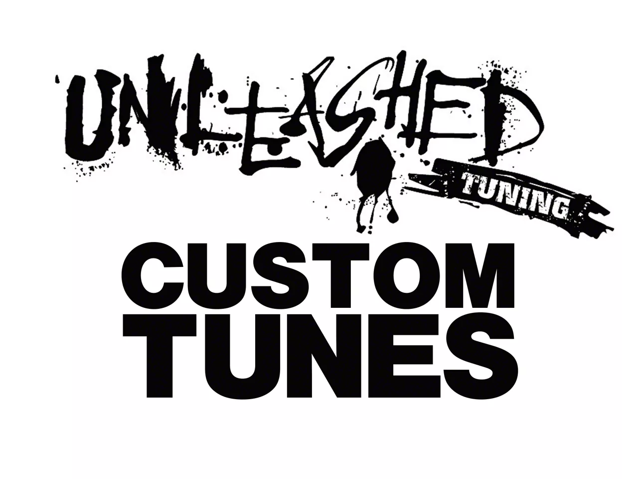 Unleashed Tuning Mustang Custom Tunes; Tuner Sold Separately 406390 (15