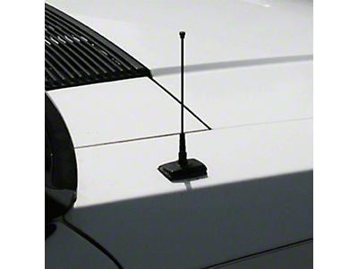 Antenne Aluminium Argenté Court - Pour Ford Mustang 2010-2014 - Neuf Avec Garantie