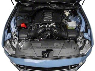 Capot Carbone Ford Mustang 2015-2017 Look GT-350-R - Auto Tuning Capot Carbone Ford Mustang 2015-2017 Look GT-350-R - Auto Tuning