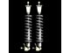 UPR Products Double Adjustable Rear Coil-Over Kit (79-04 Mustang, Excluding 99-04 Cobra)