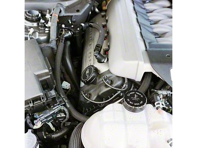 UPR Products Plug N Play SC Oil Catch Can; Black (96-04 Mustang Cobra)