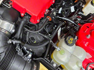 UPR Products Roush Supercharged Plug N Play Clean Side Oil Catch Can; Black (24-25 Mustang GT, Dark Horse)