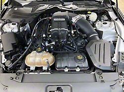 UPR Products Single Valve Plug N Play Clean Side Oil Catch Can; Black (15-17 Mustang GT w/ Roush/VMP TVS Supercharger)