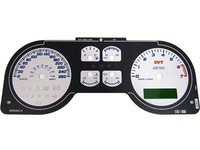 US Speedo Daytona Edition Gauge Face; KMH; Silver (07-09 Mustang GT500)