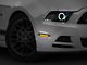 Clear LED Side & Quarter Markers (10-14 Mustang)