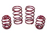 Vogtland Sport Lowering Springs (18-25 Mustang w/ MagneRide)