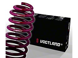 Vogtland Sport Lowering Springs (09-23 V6 Challenger; 11-14 Challenger R/T; 11-23 Challenger SRT8, SRT 392)