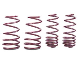 Vogtland Sport Lowering Springs (05-14 Mustang GT)