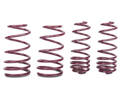 Vogtland Sport Lowering Springs (05-14 Mustang GT)