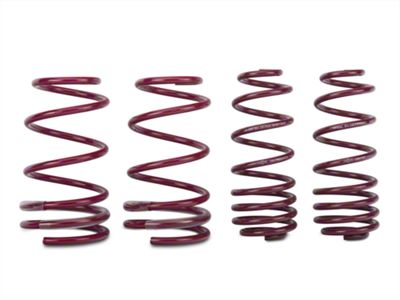 Vogtland Sport Lowering Springs (07-14 Mustang GT500)