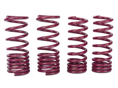 Vogtland Sport Lowering Springs (99-01 Mustang Cobra)