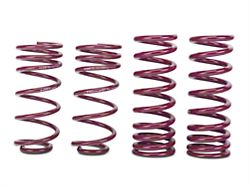 Vogtland Sport Lowering Springs (94-04 Mustang GT Convertible; 94-98 Mustang Cobra Convertible)
