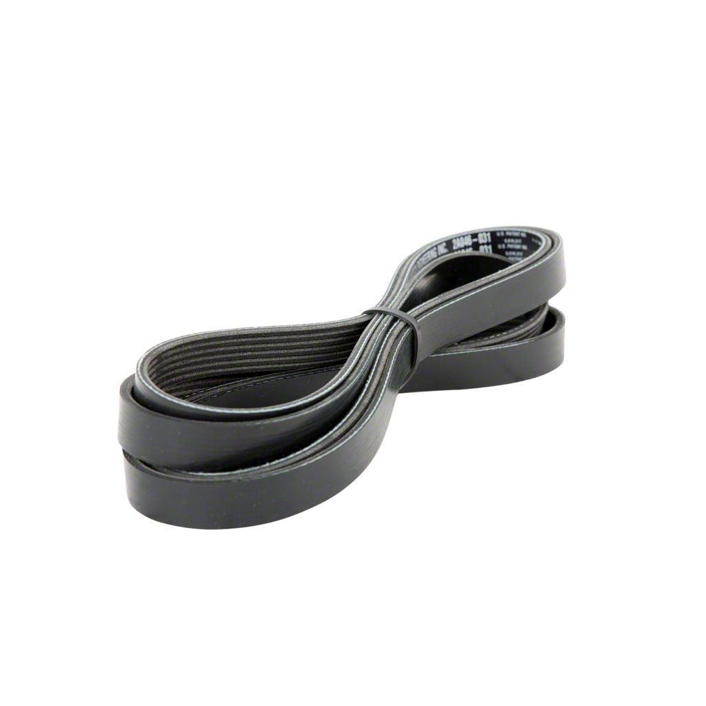 【SWIMCITY】marshall belt 880868_01_LG_grande.jpg?v=