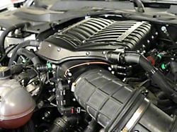 Whipple W185RF 3.0L Intercooled Supercharger Competition Kit; Black; Stage 2 (15-17 Mustang GT)