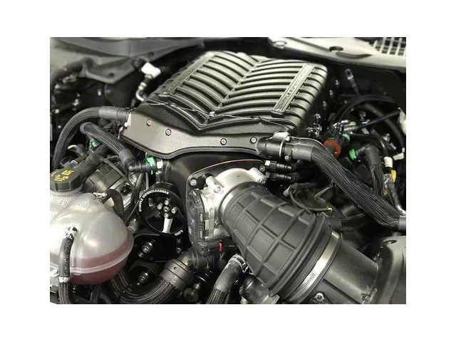 Whipple W185RF 3.0L Intercooled Supercharger Competition Kit; Black; Stage 2 (19-20 Mustang Bullitt)