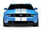 SEC10 GT500 Style Stripes; White; 10-Inch (05-14 Mustang)