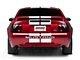 SEC10 GT500 Style Stripes; White; 10-Inch (94-04 Mustang)