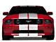 SEC10 Lemans Stripes; White; 12-Inch (05-14 Mustang)