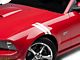 SEC10 Hash Marks; White (05-14 Mustang)