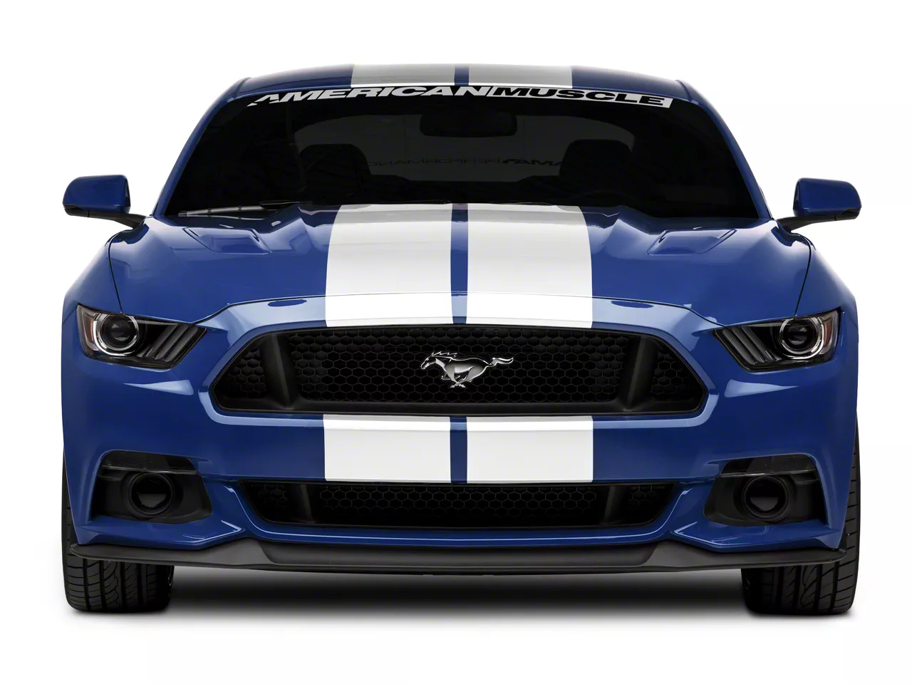 『TEN STRIPE S/S WHITE M』 SEC10 Mustang Super Snake Style Stripes; White 26155G15 (15