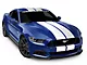 SEC10 GT500 Style Stripes; White; 10-Inch (15-23 Mustang)