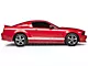 Rocker Stripes with Mustang Lettering; White (05-14 Mustang)