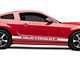 Rocker Stripes with Mustang GT Lettering; White (05-14 Mustang)