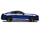 SEC10 Rocker Stripes with AmericanMuscle Logo; White (15-23 Mustang)