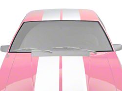 Windshield Upper and Side Trim Molding Set (79-93 Mustang Coupe, Hatchback)