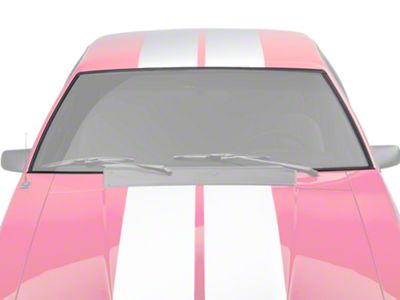 Windshield Upper and Side Trim Molding Set (79-93 Mustang Coupe, Hatchback)