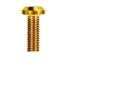 ZSPEC Design Coil Packs Fastener Kit; Titanium; Gold (16-24 Camaro LT1, SS)