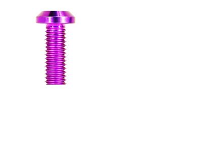 ZSPEC Design Coil Packs Fastener Kit; Titanium; Purple (16-24 Camaro LT1, SS)