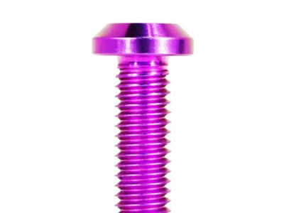 ZSPEC Design Stage 2 Dress Up Bolts Fastener Kit; Titanium; Purple (97-04 Corvette C5)