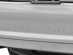 Bumper Insert Letters; Silver (94-98 Mustang GT, V6; 94-95 Mustang Cobra)