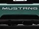 Bumper Insert Letters; Silver (99-04 Mustang GT, V6, Mach 1; 1999 Mustang Cobra)