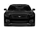 Anderson Composites Ram Air Hood; Double Sided Carbon Fiber (15-17 Mustang GT, EcoBoost, V6)