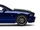 Anderson Composites Type-TS Hood; Carbon Fiber (13-14 Mustang GT, V6; 10-14 Mustang GT500)