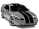 SEC10 GT500 Style Stripes; Gloss Black; 10-Inch (94-04 Mustang)