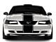 SEC10 Super Snake Style Stripes; Gloss Black (94-04 Mustang)