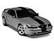 SEC10 Super Snake Style Stripes; Gloss Black (94-04 Mustang)