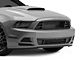 Cervini's GT500 Style Upper Grille (13-14 Mustang GT, V6)